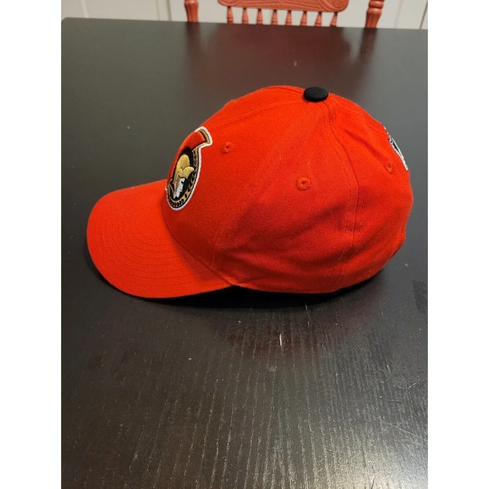 Ottawa Senators Hat  Breakaway Cap NHL 3D Embroidered Size Youth